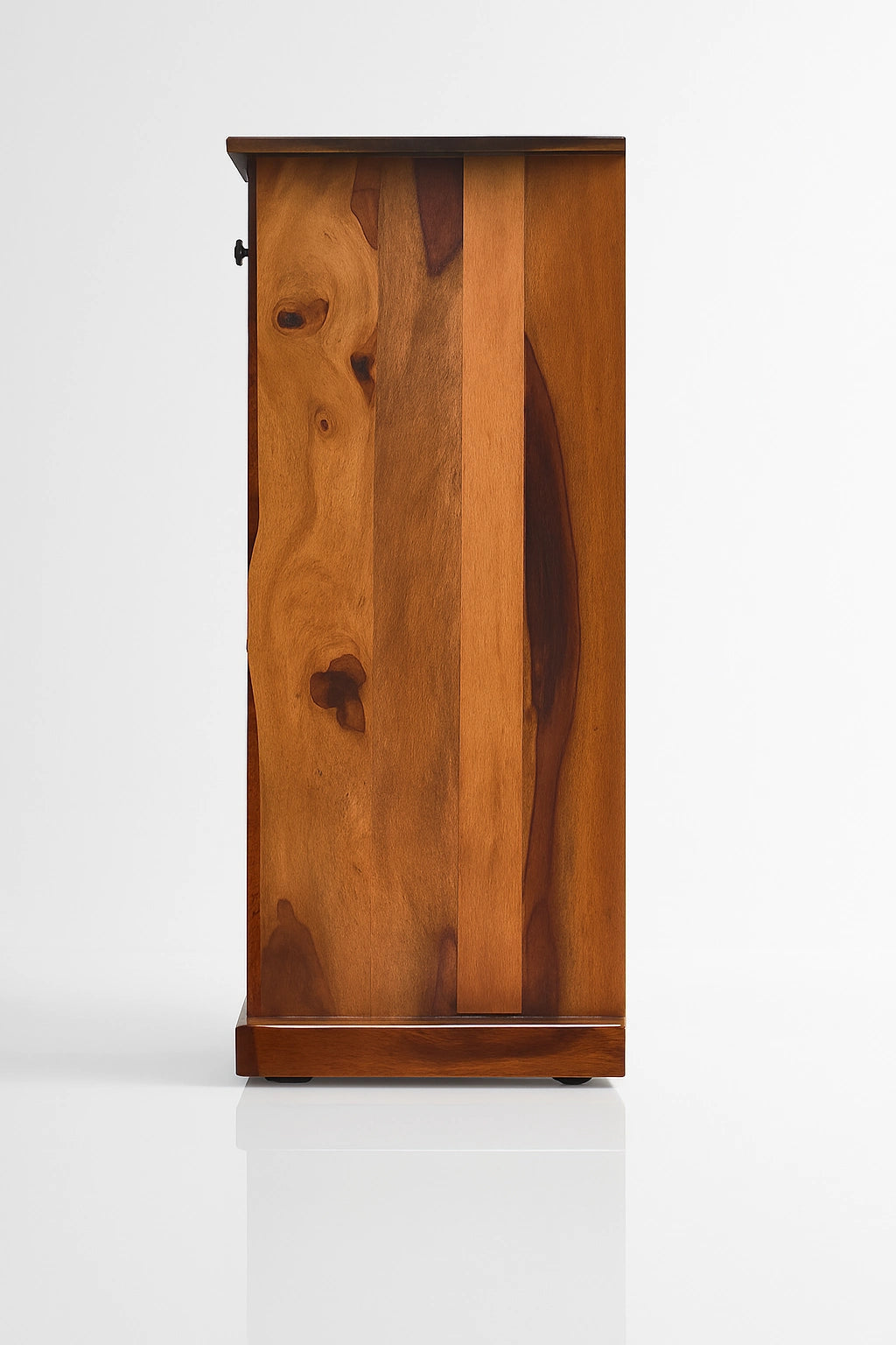 Artisan 2 Door Shoe Rack
